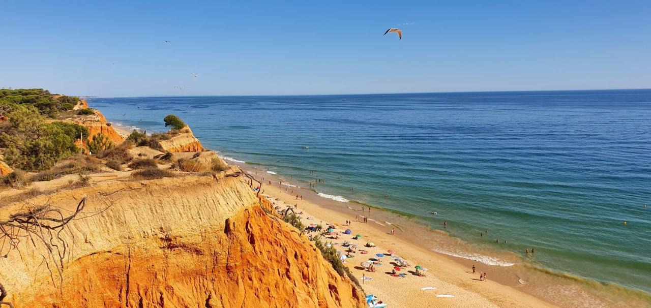 Apt P209 Situe Au Sein De Balaia Golf Village Albufeira Eksteriør bilde