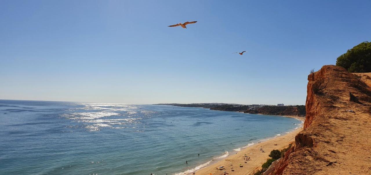 Apt P209 Situe Au Sein De Balaia Golf Village Albufeira Eksteriør bilde